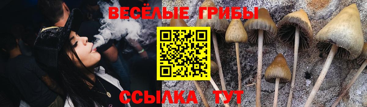 Псилоцибиновые грибы GOLDEN TEACHER  Вход с VPN  Бахчисарай 